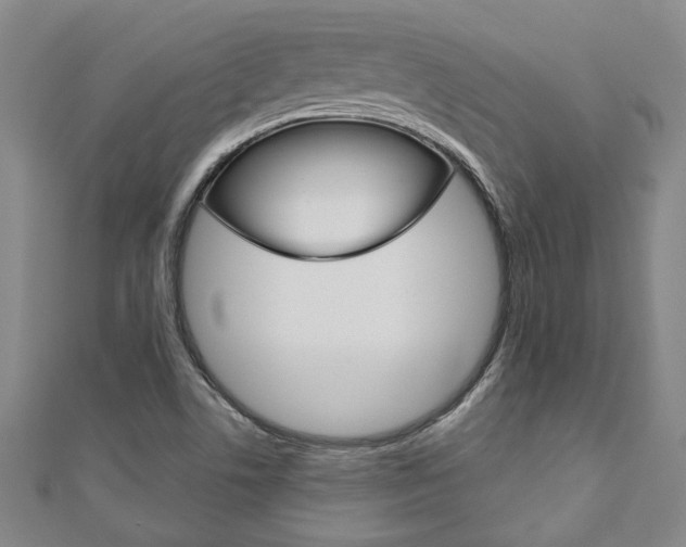 X0000110961506200906191038