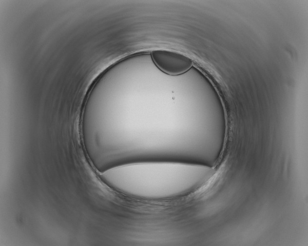 X0000110961513200906191039