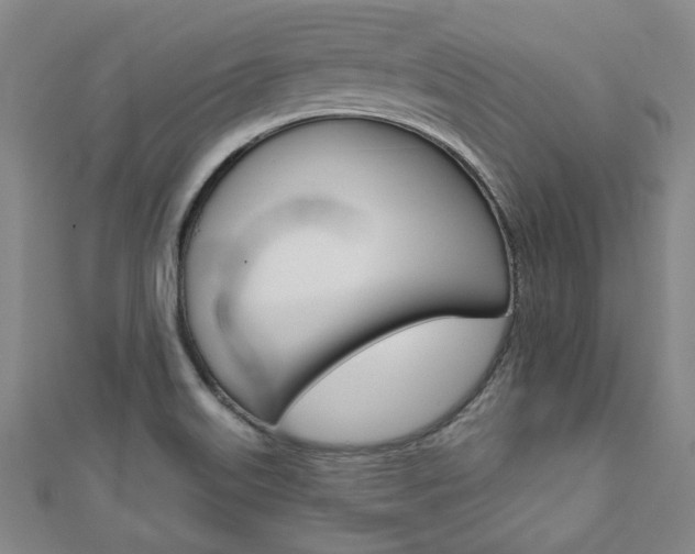 X0000110961515200906191039
