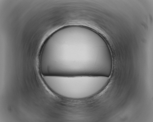X0000110961517200906191039