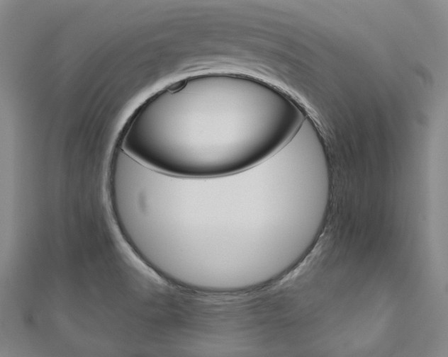 X0000110961518200906191039