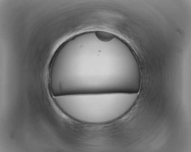 X0000110961519200906191039