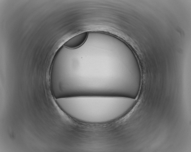 X0000110961521200906191039