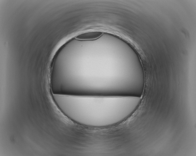 X0000110961522200906191039