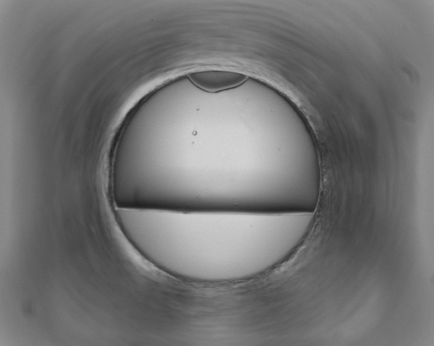 X0000110961523200906191039