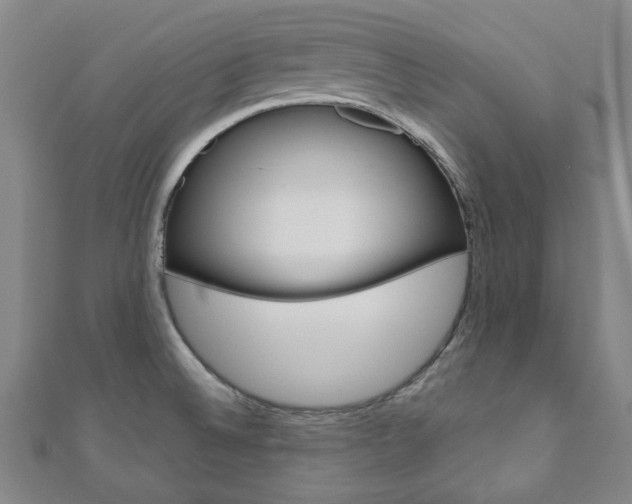 X0000110961524200906191039