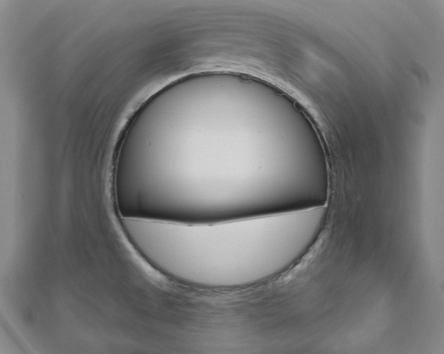 X0000110961525200906191039