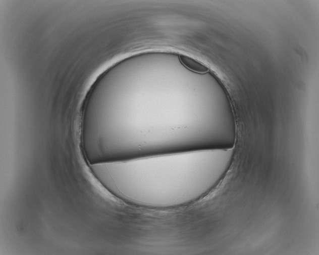 X0000110961526200906191039