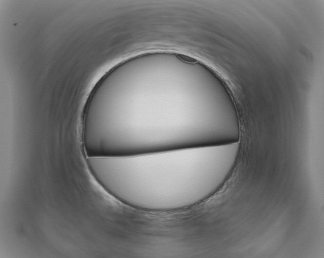 X0000110961527200906191039