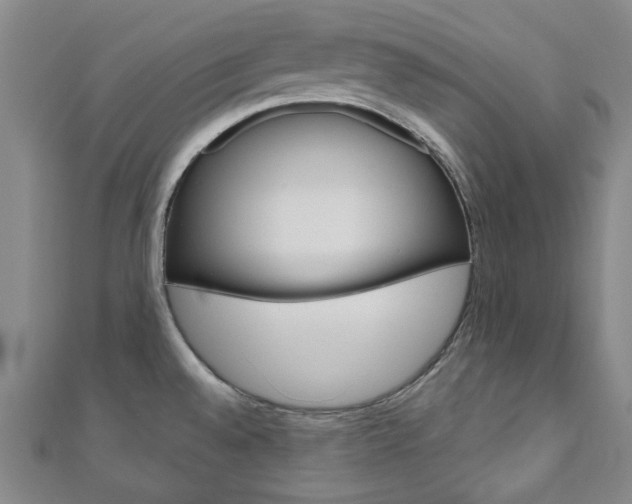 X0000110961528200906191039
