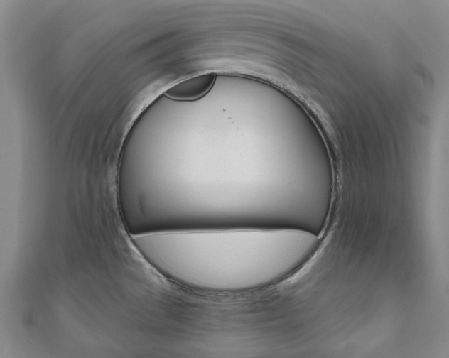 X0000110961529200906191039