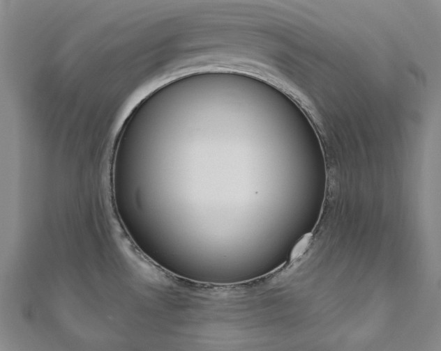 X0000110961530200906191039