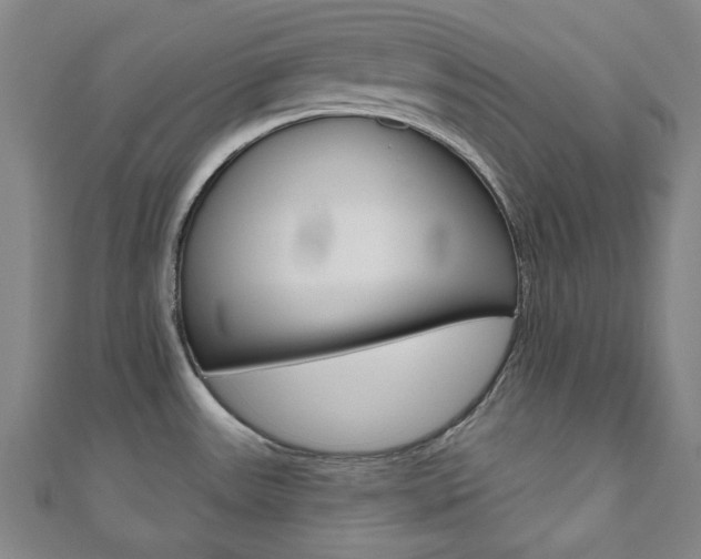 X0000110961531200906191039