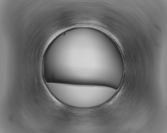 X0000110961533200906191039