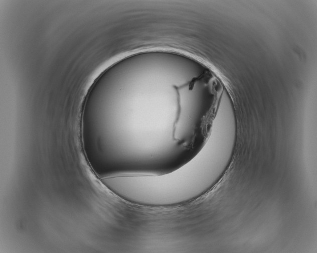 X0000110961534200906191039