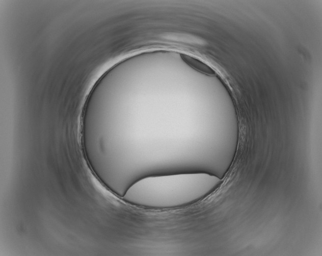 X0000110961535200906191039