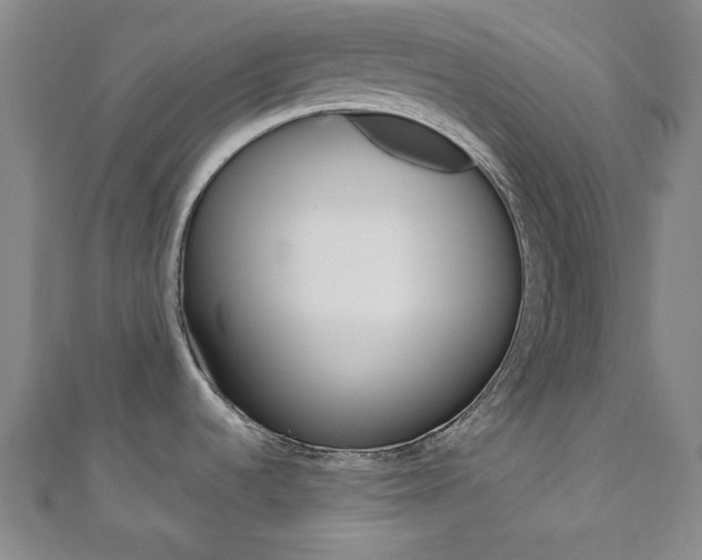 X0000110961536200906191039