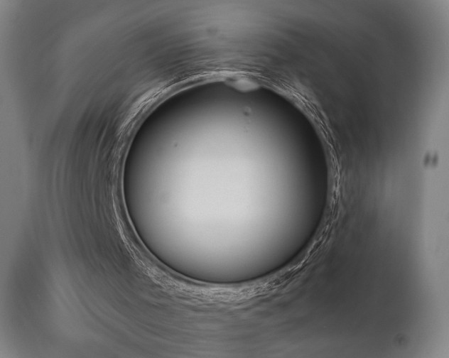 X0000110960001200906191323