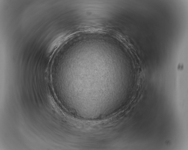 X0000110960002200906191323