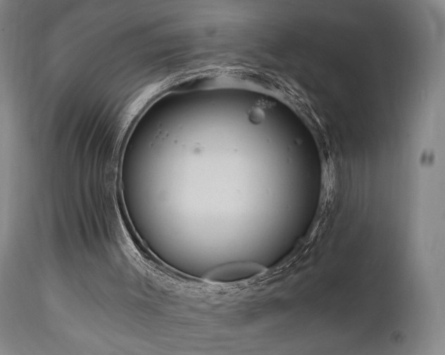 X0000110960003200906191323