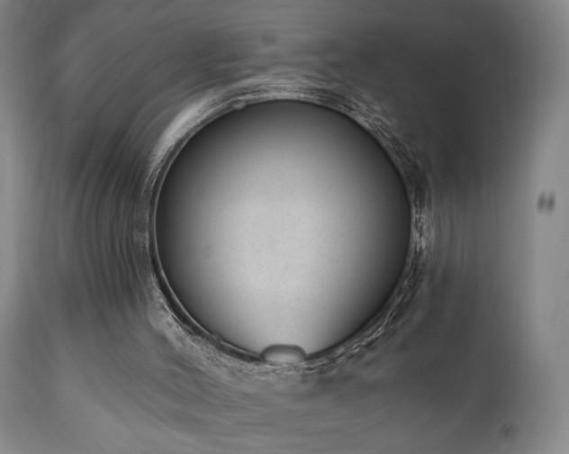 X0000110960004200906191323