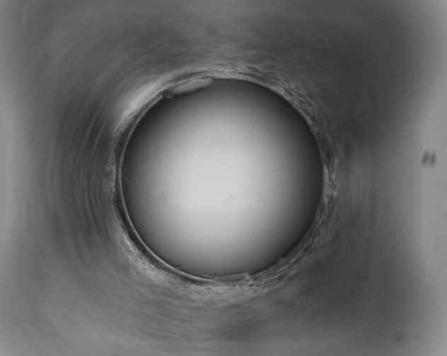 X0000110960005200906191323