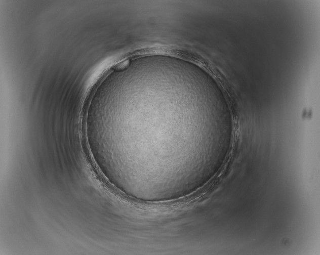 X0000110960006200906191323