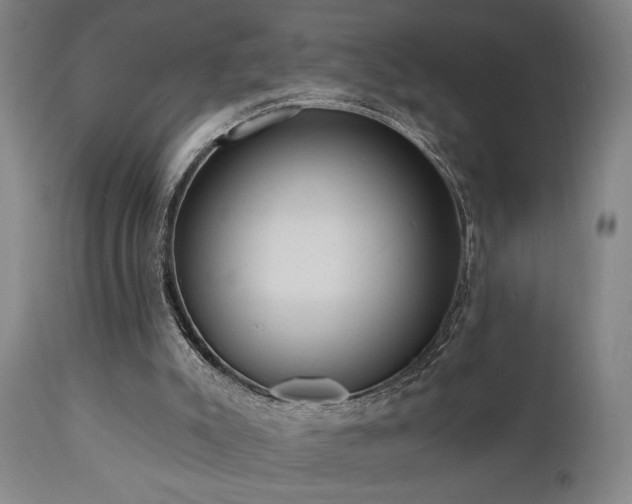 X0000110960007200906191323