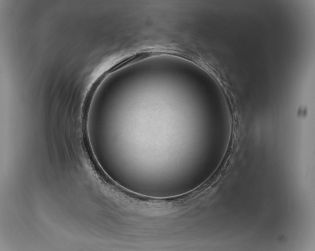 X0000110960008200906191323