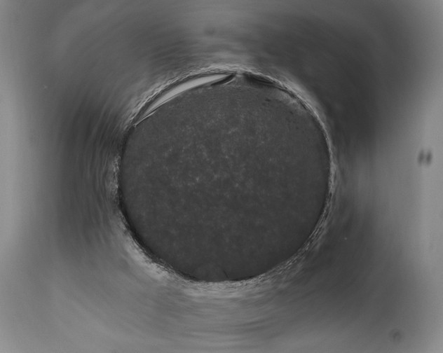 X0000110960009200906191323