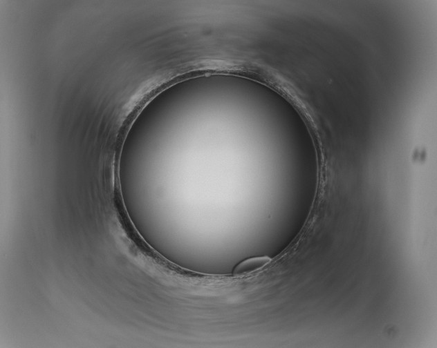 X0000110960011200906191323