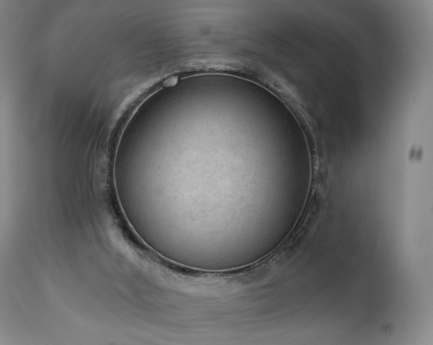 X0000110960012200906191323