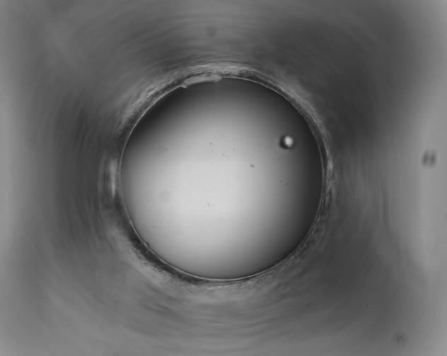 X0000110960013200906191323