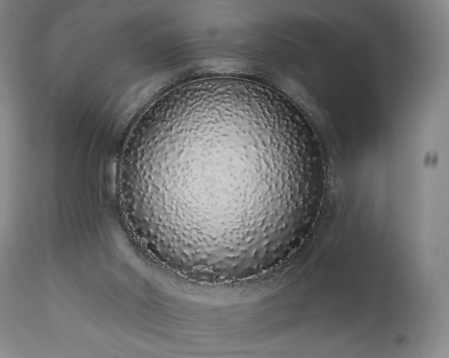 X0000110960014200906191323