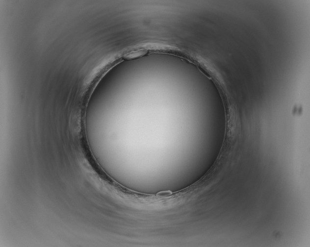 X0000110960015200906191323