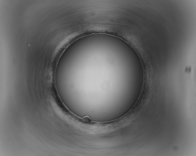 X0000110960016200906191323