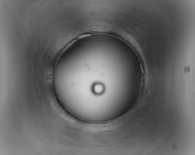 X0000110960017200906191323