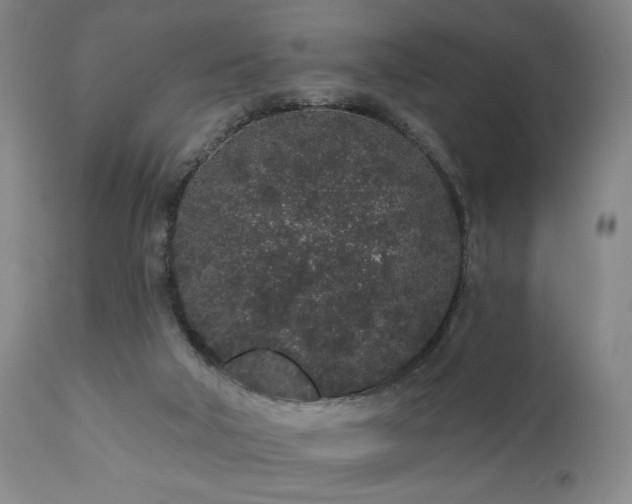 X0000110960018200906191323