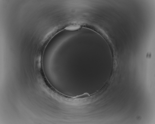X0000110960019200906191323