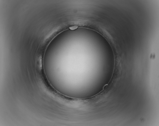 X0000110960020200906191323