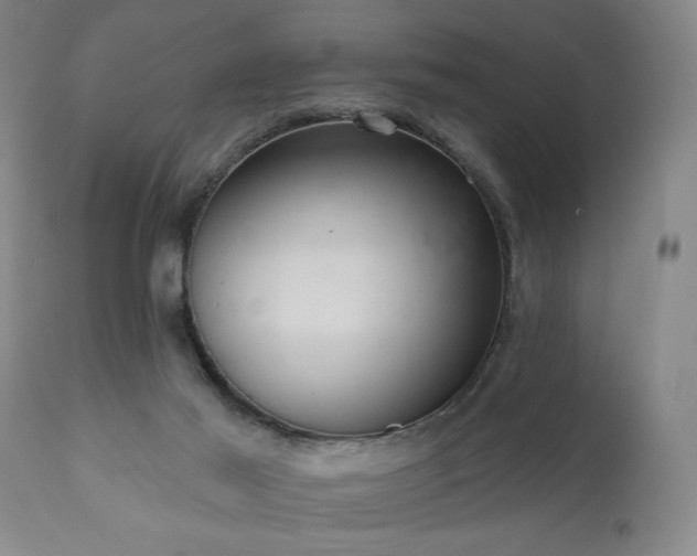 X0000110960021200906191323