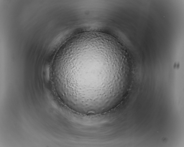 X0000110960022200906191323