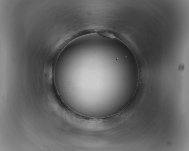 X0000110960024200906191323