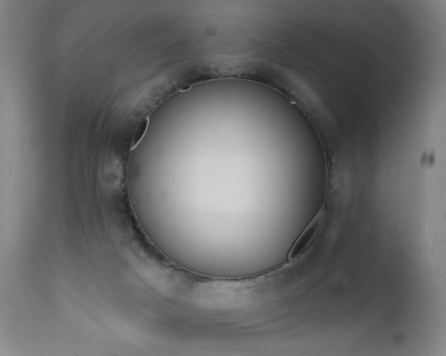 X0000110960025200906191323