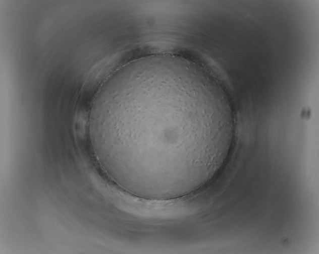 X0000110960026200906191323
