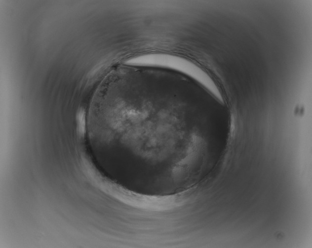 X0000110960027200906191323
