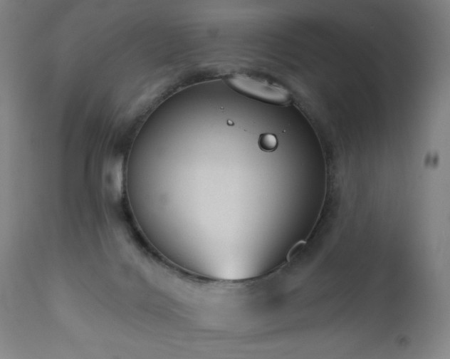 X0000110960028200906191323