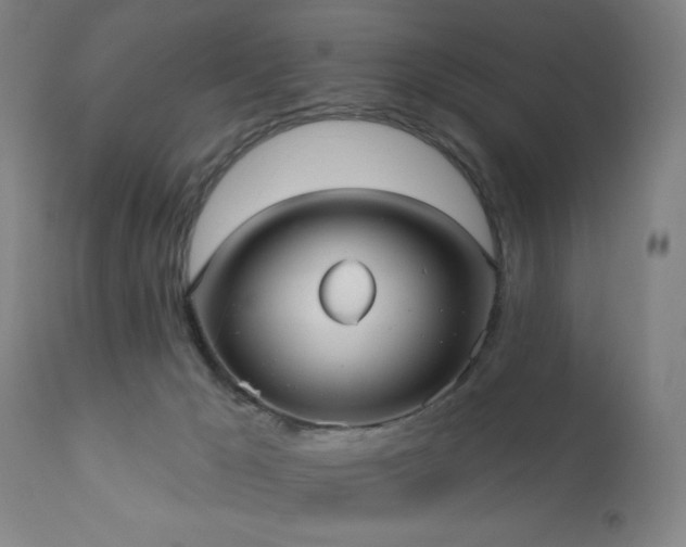 X0000110960029200906191323