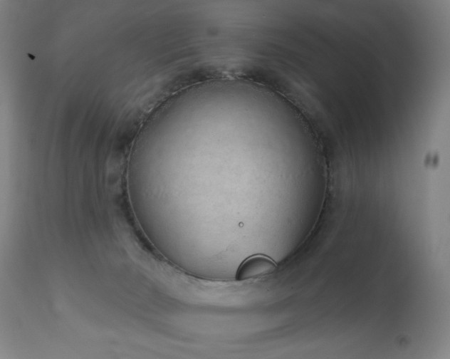 X0000110960030200906191323