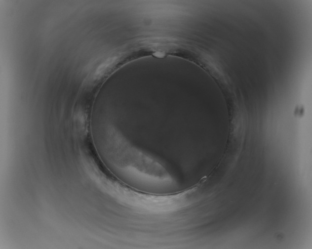 X0000110960031200906191323